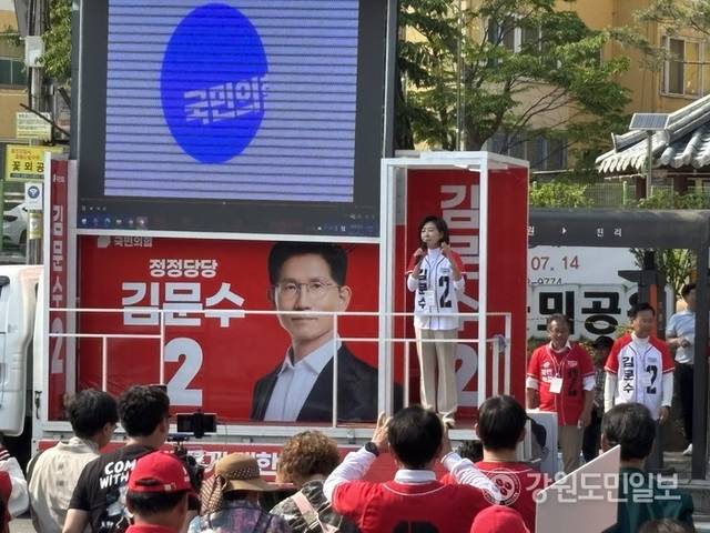 ▲ 국민의힘 나경원 공동선거대책위원장은 27일 홍천읍 꽃뫼공원을 찾아 김문수 대선 후보의 한표를 호소했다. 유승현