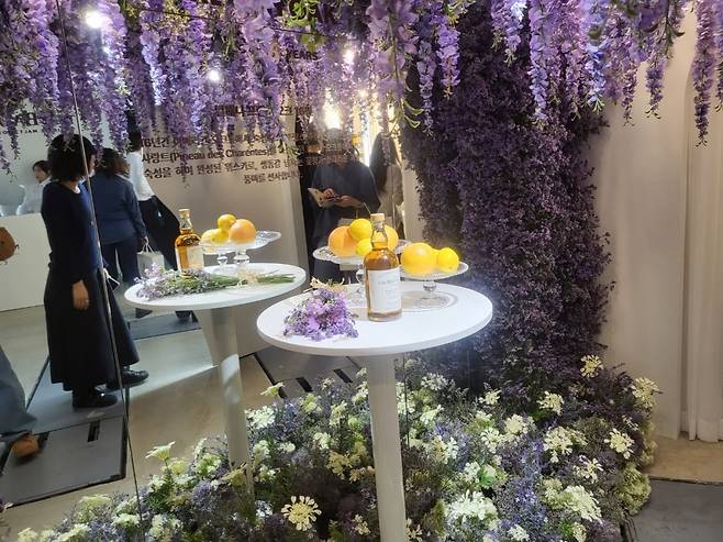 사진=안혜원 기자