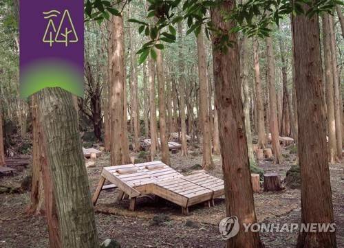 서귀포 치유의 숲 [제주관광공사 제공, 재판매 및 DB 금지]