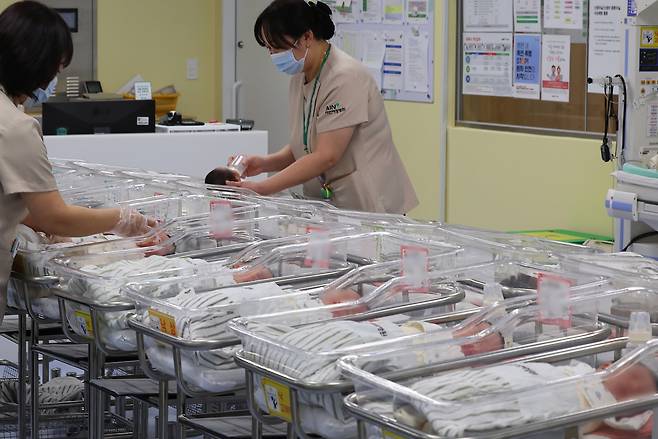 신생아. 사진=연합뉴스.