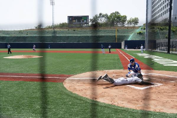 삼성라이온즈파크와 동일한 규모의 정규 야구경기장