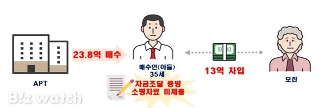 자료미제출 및 편법증여 의심 적발 사례/자료=국토교통부