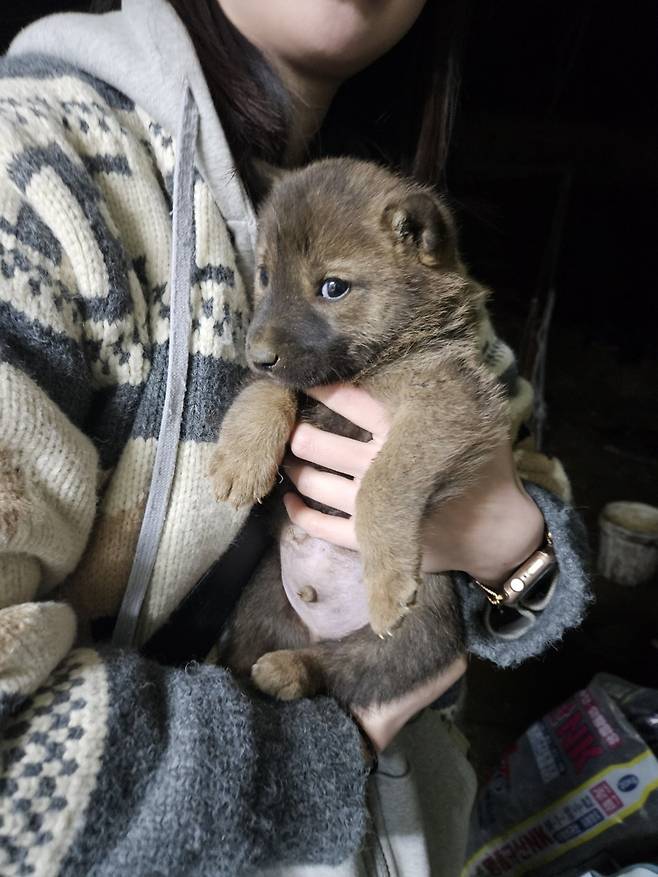 1000024630.jpg 밭지키는 감자 성장일기