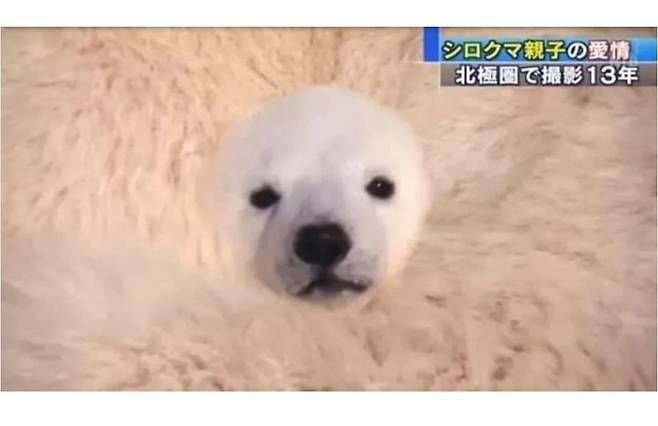 IMG_2168.jpeg 합성 같은데 합성이 아니라는 사진....JPG 합성 같은데 합성이 아니라는 사진....JPG 합성 같은데 합성이 아니라는 사진....JPG