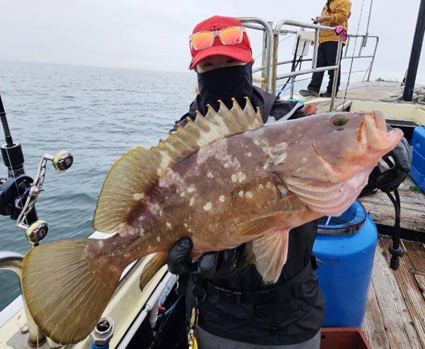 여수 붉바리 대물낚시.