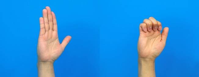 ‘Hook fist’ exercise – 손가락 관절을 그림처럼 구부렸다가 편다. 10~20회 반복한다.