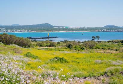 제주도 / 사진=노랑풍선