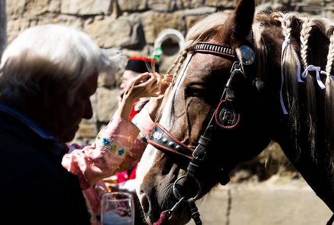 동유럽 낭만을 품은 나라 체코에서 전통 민속축제 '왕들의 탈 것'이 진행됐다. 사진은 지난 25일(현지시각) 체코 블츠노프에서 진행된 전통 민속 축제 '왕들의 탈것'에서 행사에 참여할 말에 장식하고 있는 시민과 관람객들. /사진=로이터