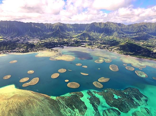 헬기에서 보면 하와이 바다가 그냥 바다가 아니다. 다채롭고 역동적이며 파란만장하다.