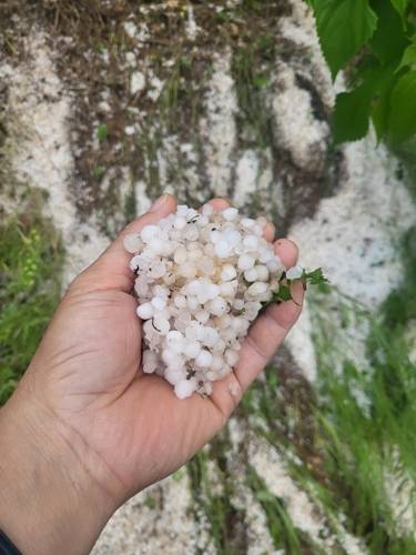 단양 어상천면에 쏟아진 우박 [연합뉴스 제공]