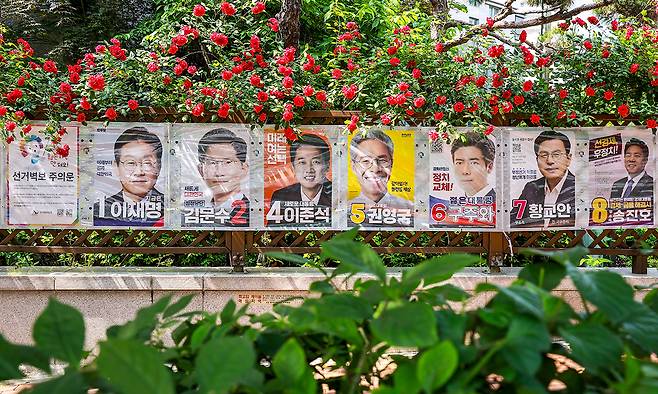 제21대 대통령 선거를 일주일 앞둔 27일 서울 용산구 효창동의 한 아파트 화단에 선거 벽보가 걸려 있다. 뉴시스