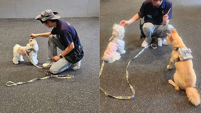 반려견 훈련 프로그램이 진행되고 있는 ‘클래스룸’. 투숙객들은 이곳에서 반려견에 관한 1대 1 고민상담 및 행동 교정 교육을 받을 수 있다. 이용 당일 1시간 전까지 홈페이지나 현장 예약을 하면 서비스를 이용이 가능하다. 박윤희 기자