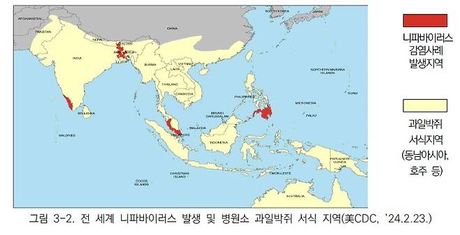 [질병관리청 제공]