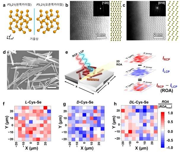 셀레늄 나노막대의 원자구조 분석  [KAIST 제공. 재판매 및 DB 금지]