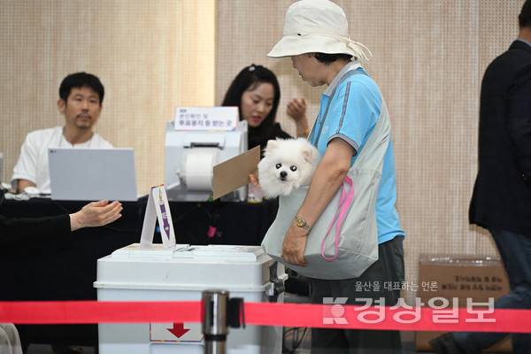 제21대 대통령 선거 사전 투표일인 29일 울산 남구청 사전투표소에서 한 유권자가 반려견과 함께 투표를 하고 있다. 김경우기자 woo@ksilbo.co.kr