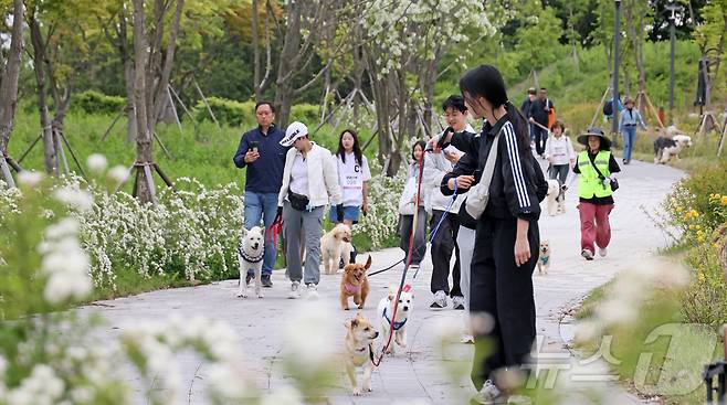전북자치도 임실군 성수면 임실치즈테마파크에서 군민들이 반려견과 산책을 하고  있다.(임실군청 제공. 재판매 및 DB 금지) 2025.5.5/뉴스1 ⓒ News1