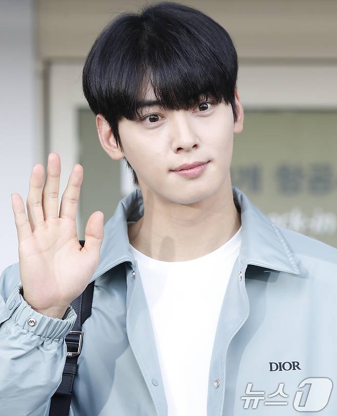 배우 차은우 ⓒ News1