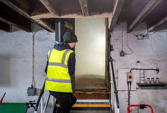바닥은 젖은 보리, 공기는 피트 향으로 가득하다.라프로익 증류소 훈연실. 이 연기가 라프로익을 라프로익답게 만든다. /김지호 기자