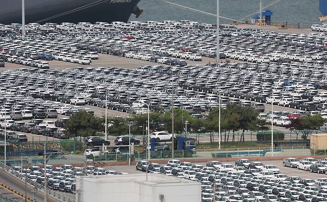 경기 평택시 포승읍 평택항 자동차전용부두에 수출용 차량들이 세워져 있다./뉴스1