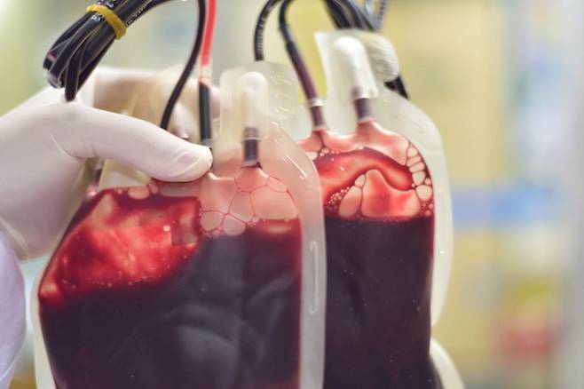 사진=게티이미지코리아.