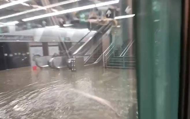 (소셜미디어 영상 갈무리)