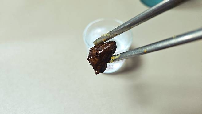 20250528_230957.jpg 저녁 와이프가 한 간짜장 사온 메밀전병과 빵