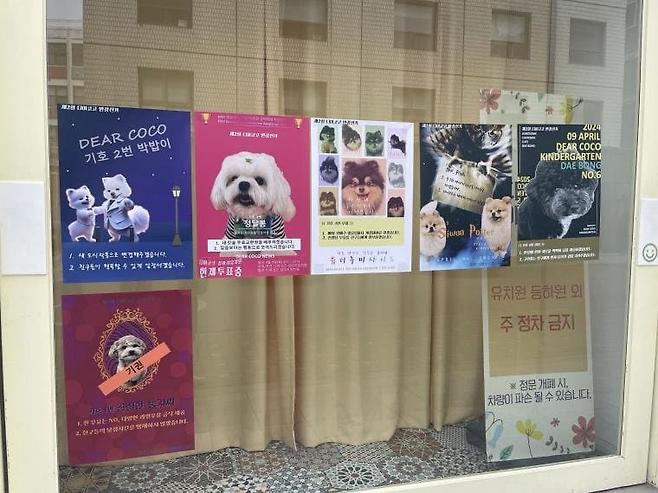 강아지 대통령 뽑는 강아지 유치원 ㄷㄷㄷ.jpg