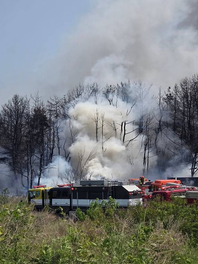 해군 행상 초계기 추락 모습. 독자 제공·뉴시스