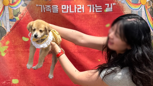 지난 17일 인천 다남숲멍빌리지에서 개최된 '핌피 입양제'에서 참가자가 강아지와 함께 기념사진을 찍고 있다.