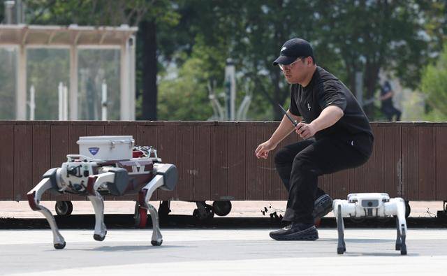 28일 대구 수성구 수성못에서 열린 대구경찰청의 AI드론·로봇을 이용한 디지털 합동 순찰 시연에서 폴리봇이 성범죄 용의자와 대치하고 있다. 연합뉴스