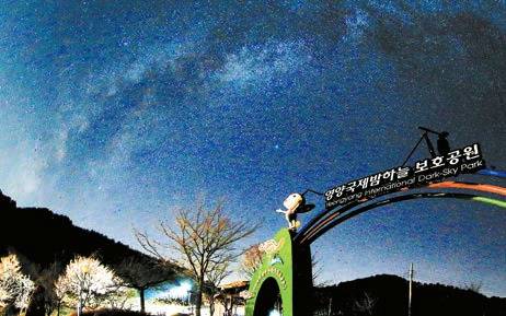 경북 영양군에서는 반딧불이 생태공원, 국제밤하늘보호공원, 영양반딧불이천문대 등에서 반딧불이의 환상적인 형광색 군무와 밤하늘을 수놓는 은하수를 동시에 체험할 수 있다. [사진 영양군청]