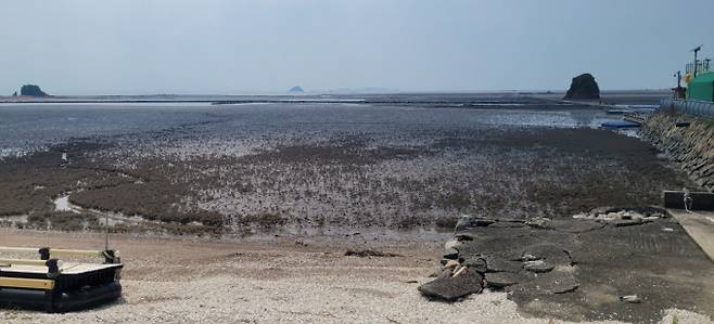 염생식물이 사라진 화성시 백미리 해안가 전경. /사진=경기도