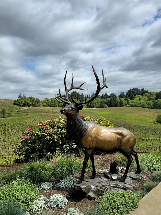 엘크 코브 빈야즈 사슴 조형물.