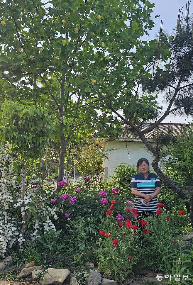 홍산면 주택정원 안주인. 부여=김선미 기자 kimsunmi@donga.com