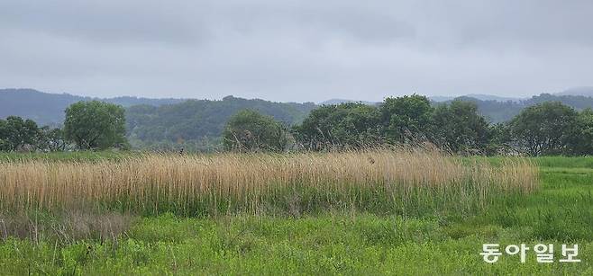 백마강 풍경. 부여=김선미 기자 kimsunmi@donga.com