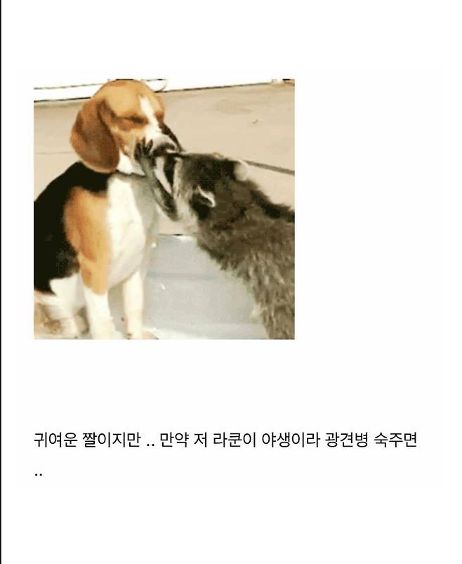 한번 걸리면 답이 없는 병