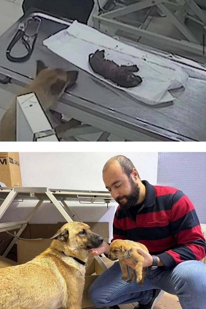 이스탄불의 기적.jpg