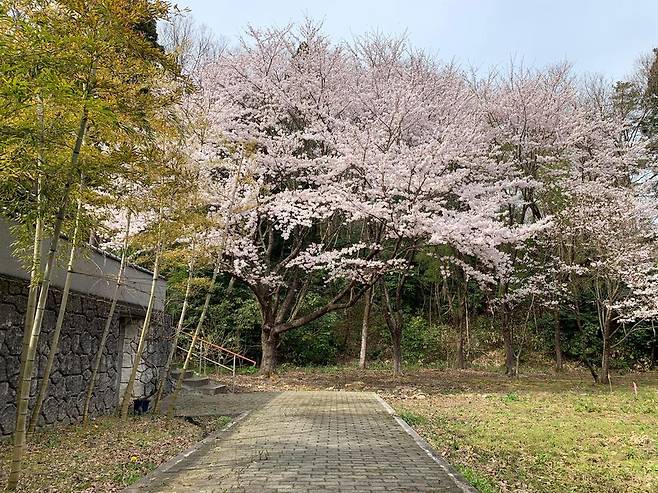 76615471_0871.jpg 니가타시의 5억8천만원 집