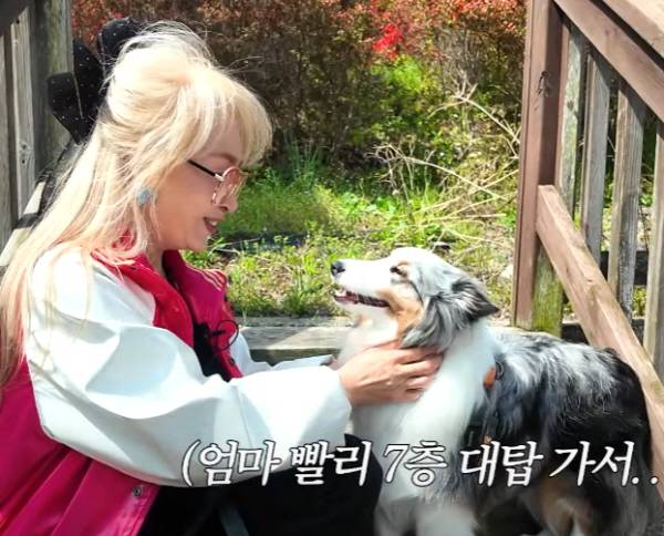 반려동물과 함께 여행을 할 때는 종이나 예방접종 여부에 따라 여행지에 반려동물 출입이 제한될 가능성이 없는지 미리 확인해야 한다./사진=유튜브 ‘충남관광’