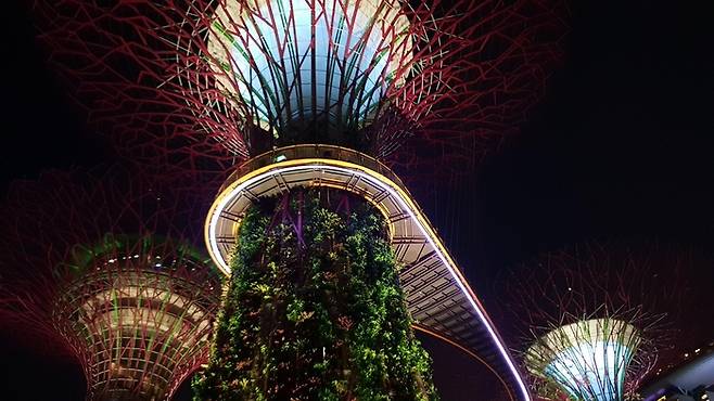 싱가포르(사진은 기사와 직접적 관련 없음) / 사진=PIXABAY