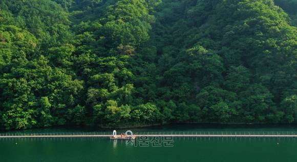 화천 읍내 북한강 변을 따라 난 ‘숲으로 다리’. 숲과 강을 바짝 끼고 걸을 수 있는 물 윗길이다.