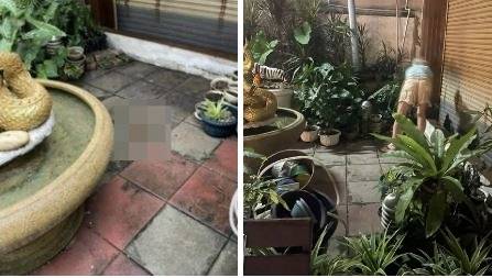 태국 푸켓의 한 식당 사장이 외국인 관광객들의 무단 용변 행위를 폭로하며 지역 내 공중화장실 부족 문제의 심각성을 제기했다. 소셜미디어(SNS) 캡처