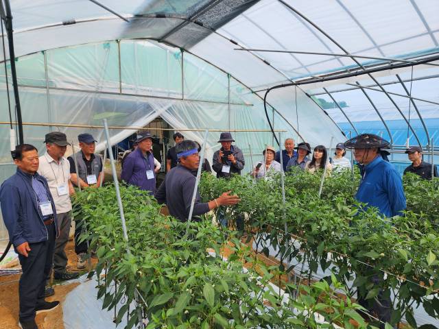 예비 귀농들이 전문 영농기술 현장 교육을 받는 모습. 청양군 제공.