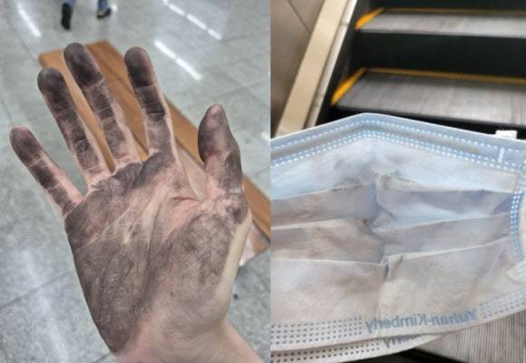 (사진=이데일리, 온라인 커뮤니티)