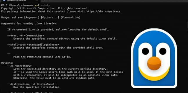 MS가 10년 만에 WSL을 오픈소스로 전환했다(이미지=마이크로소프트)