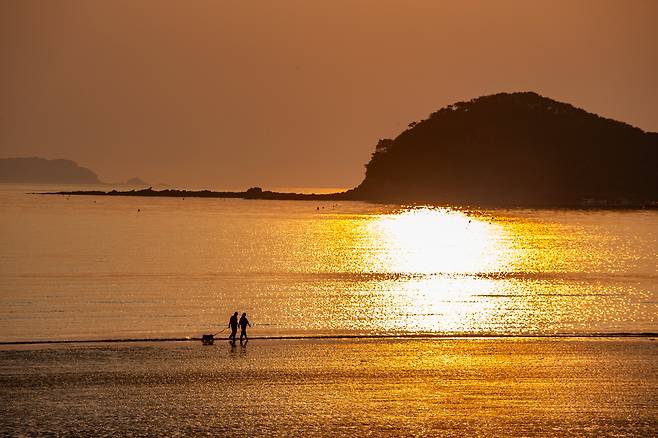 황금빛 노을로 물들어가는 '운여해변'. 갯벌 너머 해루질에 나선 이들마저 그림이 된다. / 김용재 영상미디어 기자