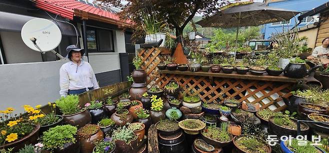 부여군 임천면 최동권 씨의 항아리정원.