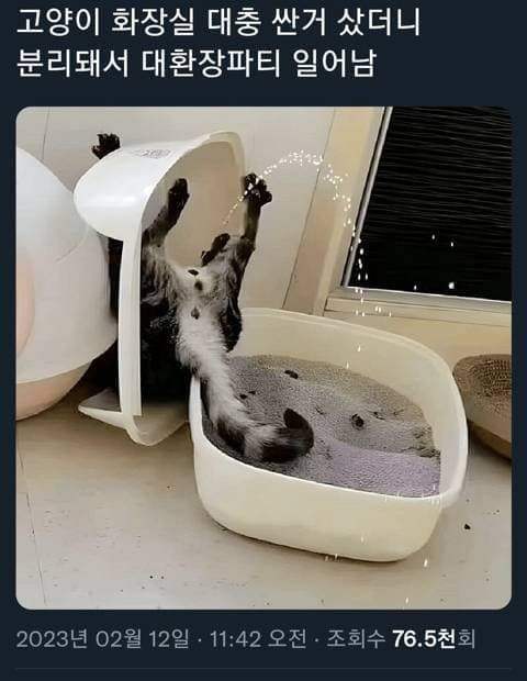 고양이 화장실 싼거 사면 안되는 이유