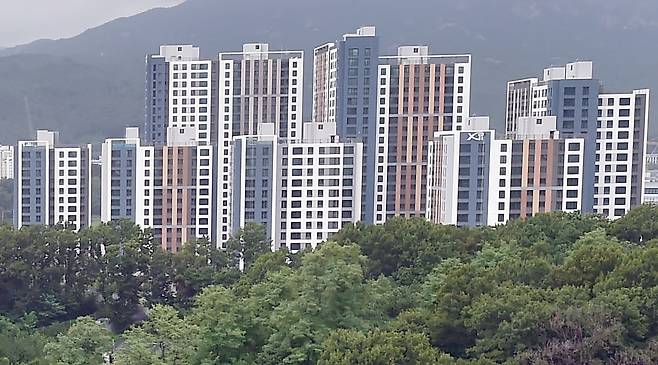 사진=김영우 기자