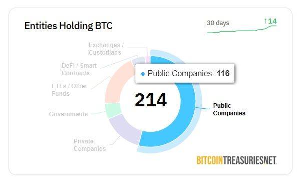 [서울=뉴시스] 30일 비트코인 트레저리(비트코인 보유 기업 정보 플랫폼) 기준 비트코인을 보유한 전세계 상장 법인(Public Companies)은 총 116개로 집계됐다. (사진=비트코인 트레저리 홈페이지 캡처) 2025.05.30 *재판매 및 DB 금지
